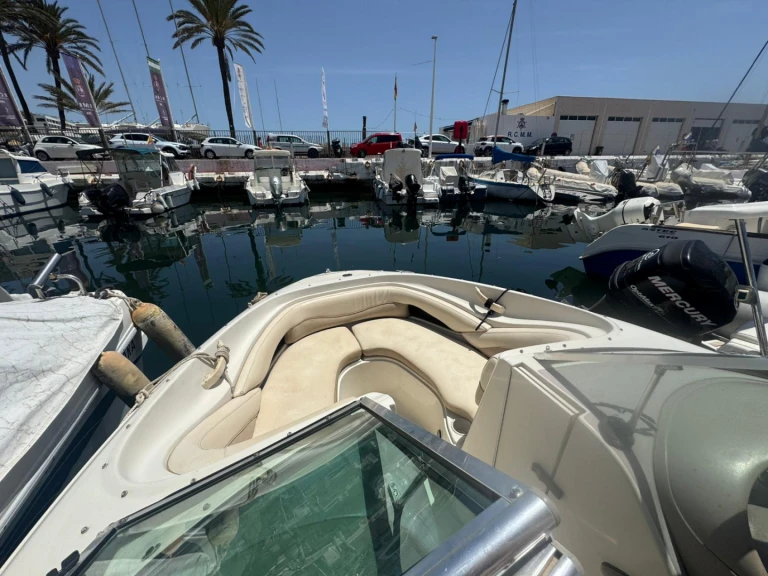 Vermietung Motorboot Sea Ray mit Führerschein