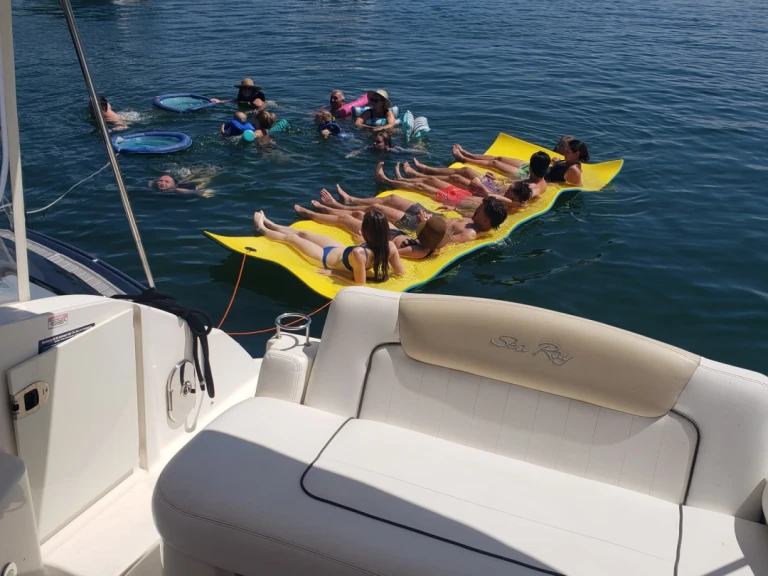 Motorboot mieten in Miami - Sea Ray Sea Ray 300 Sundancer