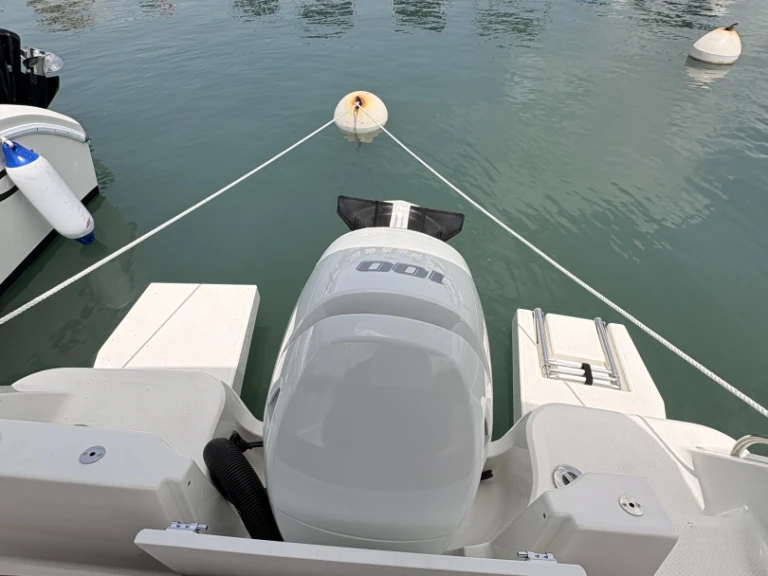 Boot mieten Pointe-à-Pitre günstig Pacific Craft 545 Open
