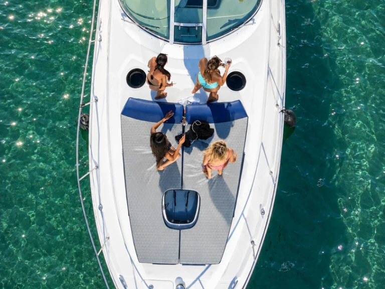 YachtCharter in Miami - Sea Ray Sea Ray 340 Sundancer auf SamBoat