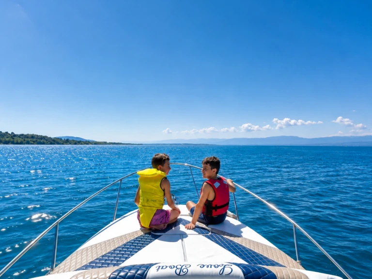 Ein Bayliner Bayliner 255 mieten in Thonon-les-Bains