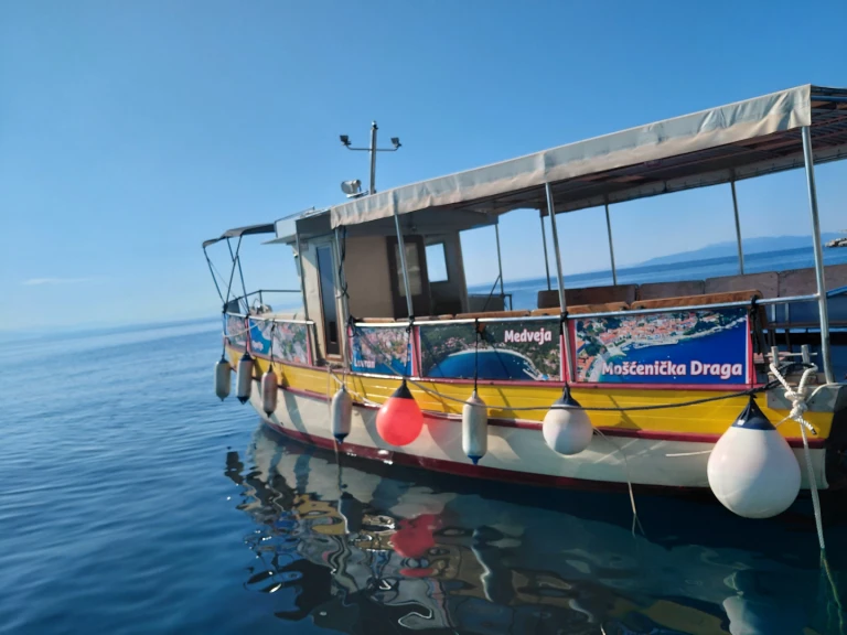 Custom Passanger mieten Opatija