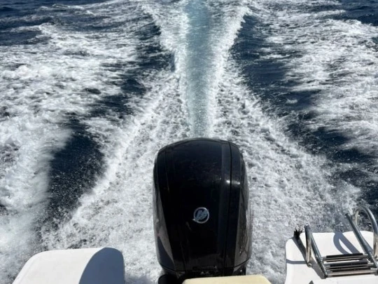 Motorboot mieten in Port de Palamós zum besten Preis