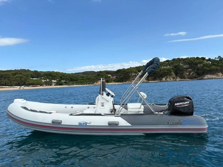 Vermietung Motorboot Silver mit Führerschein