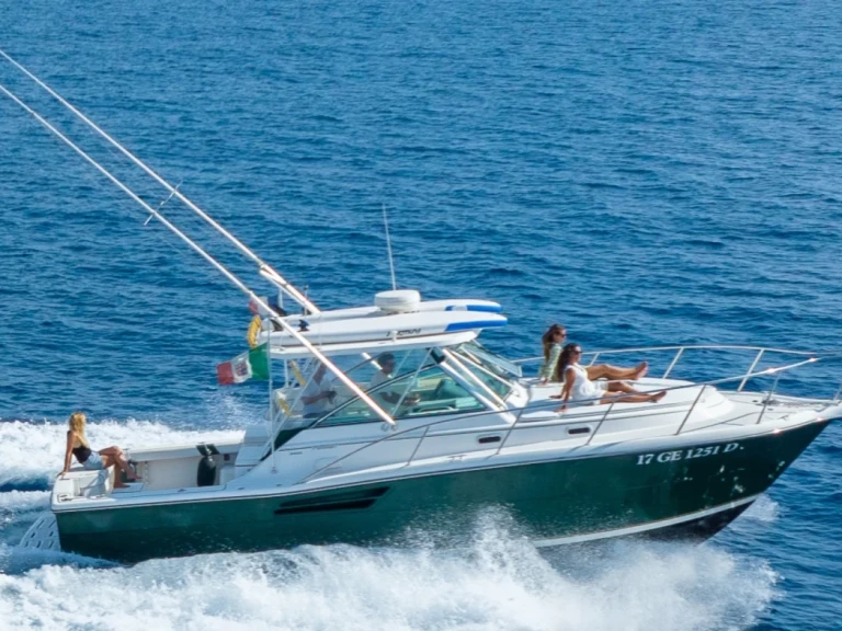 Motorboot mit oder ohne Skipper Pursuit mieten in Marseille