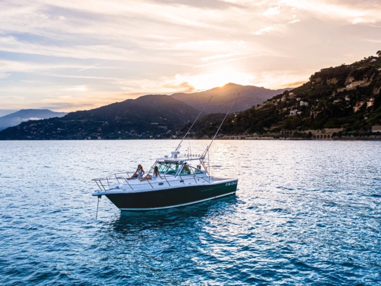 YachtCharter in Marseille - Pursuit 3400 auf SamBoat