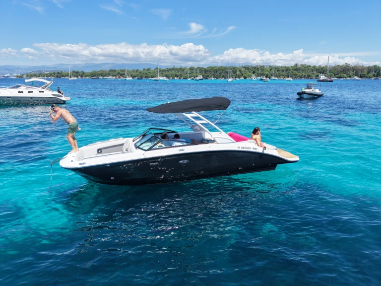 Sea Ray SDX 27 E mieten Port La Napoule