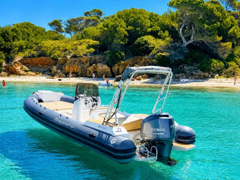 Schlauchboot mit oder ohne Skipper Tiger mieten in Hyères