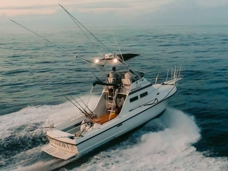 Custom Made custom mieten Cabo San Lucas