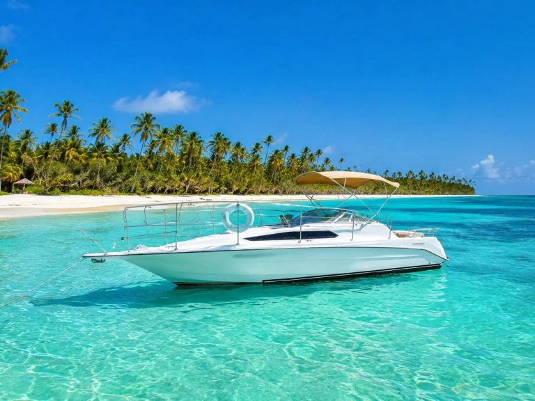 Ein Custom Made custom mieten in Punta Cana
