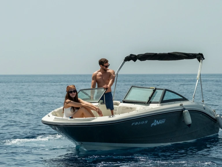 Bootsverleih Sea Ray SPX 190 La Herradura Samboat