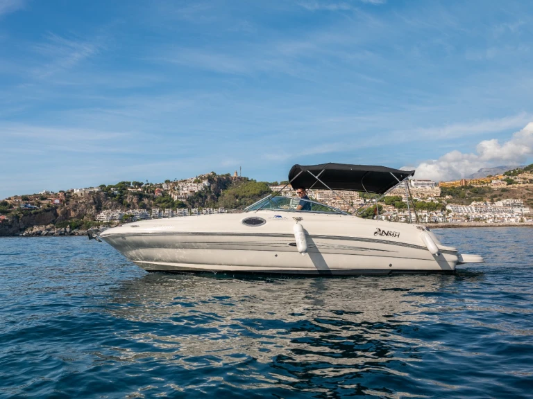 Motorboot mit oder ohne Skipper Sea Ray mieten in La Herradura