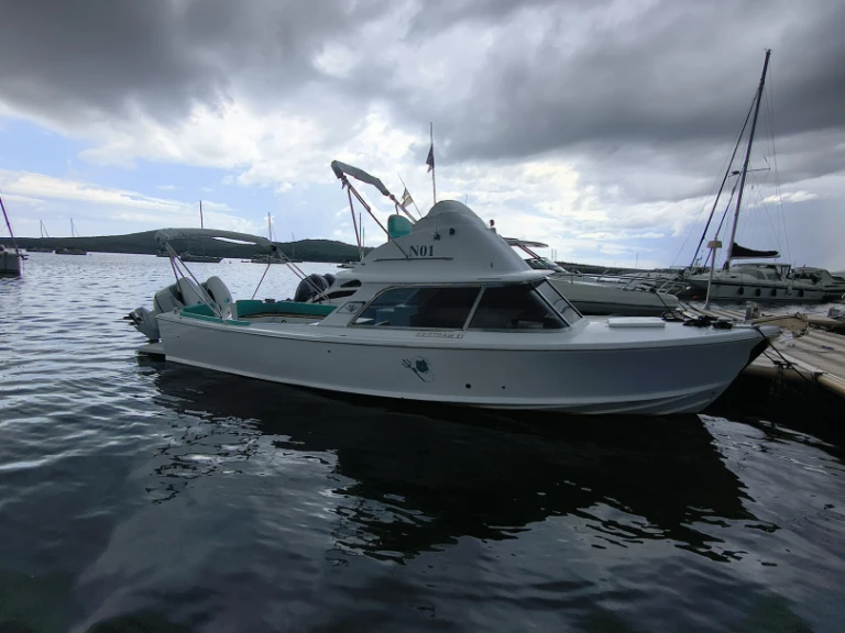 Motorboot mieten in Porto Pozzo - Bertram 31