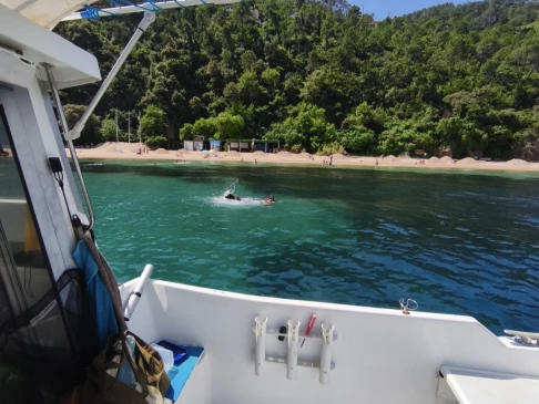 Boot mieten Mandelieu-la-Napoule günstig Eider Marine 590 Sea Rover