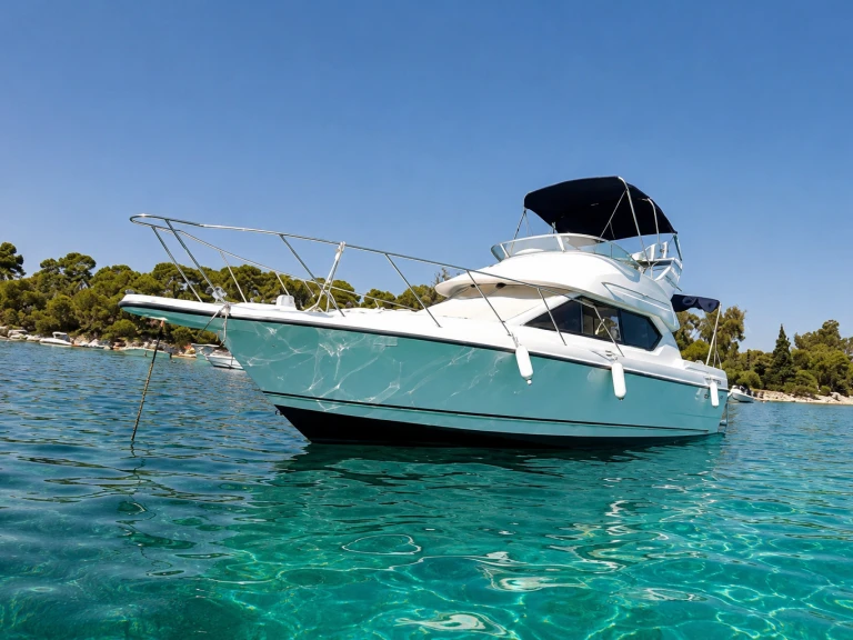 Bayliner Bayliner 2858 Fly mieten Mandelieu-la-Napoule