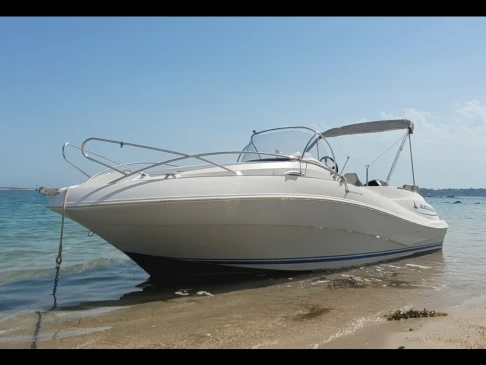 Quicksilver Quicksilver 555 WA Commander mieten Trébeurden