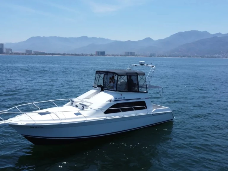 Motorboot mit oder ohne Skipper Custom Made mieten in Puerto Vallarta
