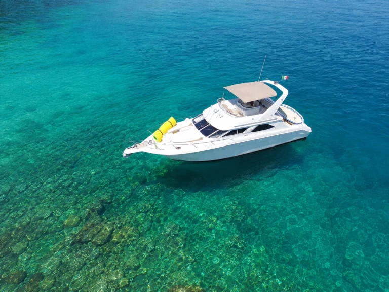 Motorboot mit oder ohne Skipper Custom Made mieten in Puerto Vallarta