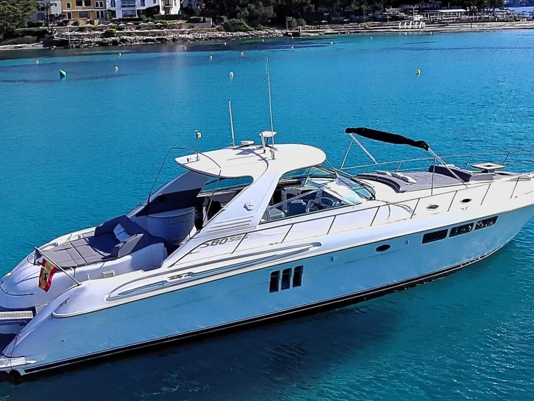 Vermietung Yacht Sea Ray mit Führerschein