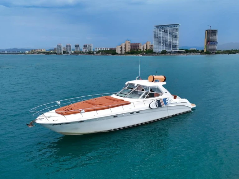 Motorboot mit oder ohne Skipper Custom Made mieten in Puerto Vallarta