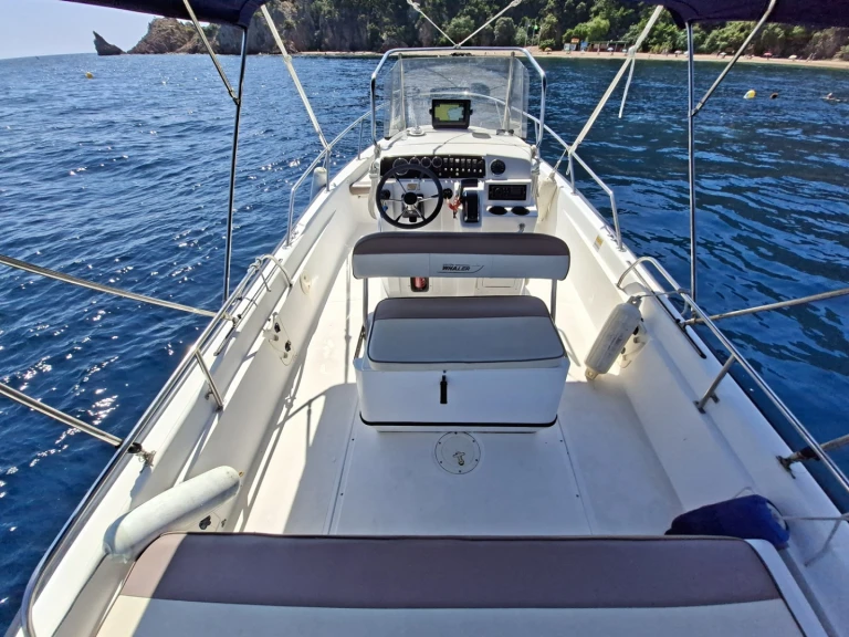 Bootsverleih Boston Whaler Boston Whaler 220 Dauntless Port de la Rague Samboat