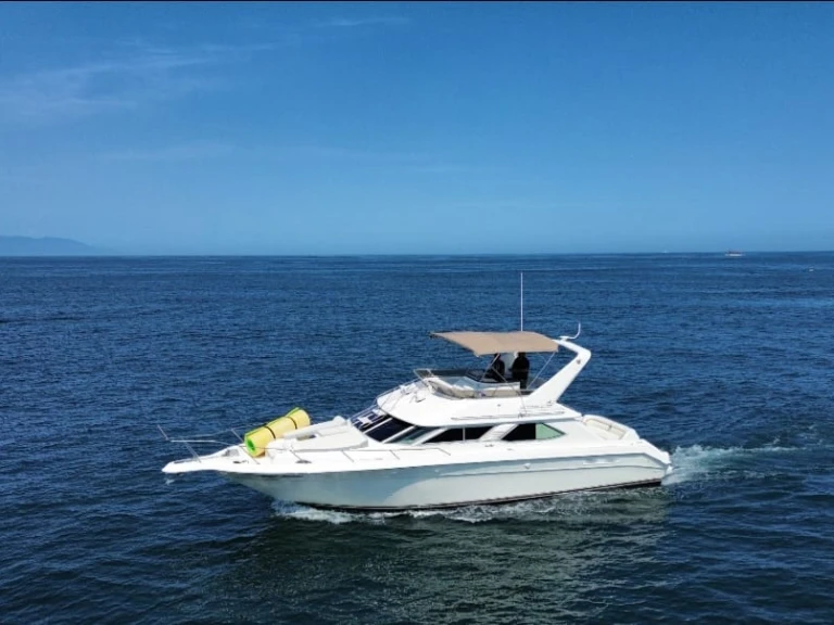 Bootsverleih Custom Made custom Puerto Vallarta Samboat