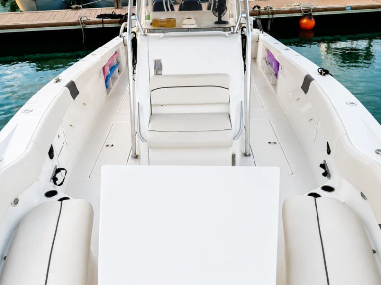 Bootsverleih USA MOTOR Gammarth Samboat