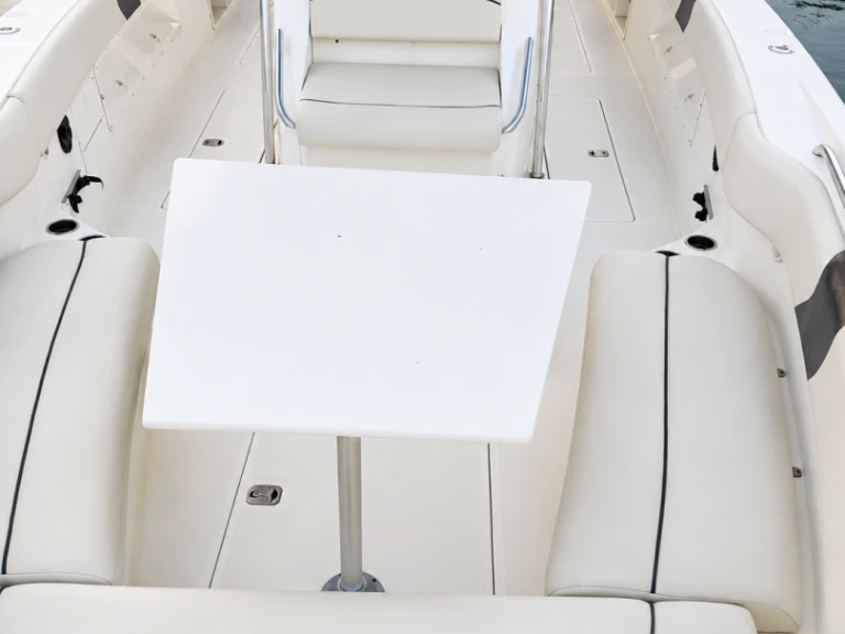 Vermietung Motorboot USA mit Führerschein