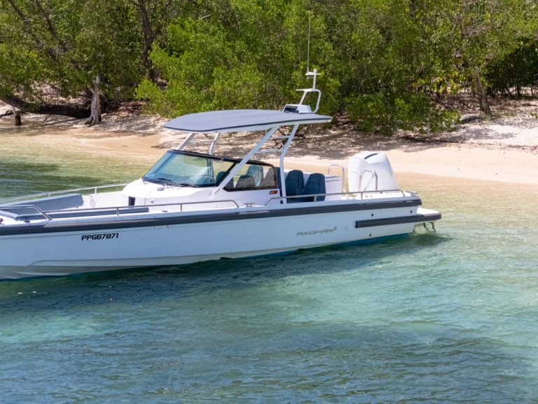 Axopar Axopar 28 T-Top mieten Le Gosier