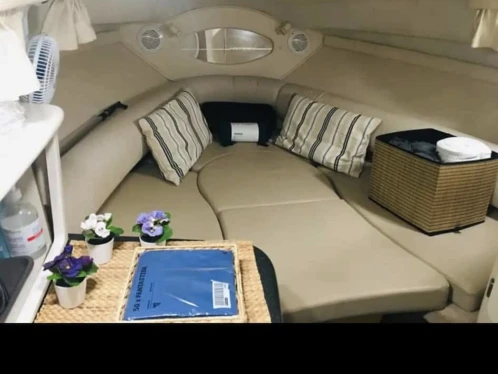 Boot mieten Marbella günstig 242 cruiser