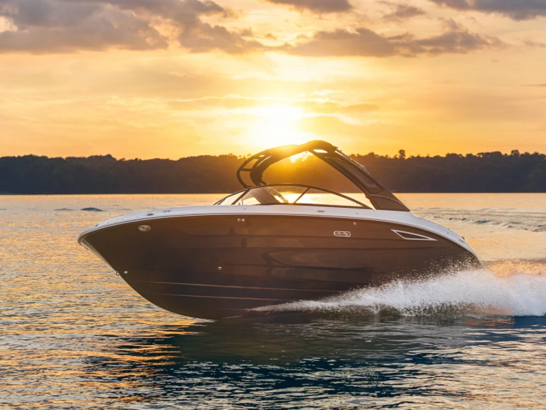 Vermietung Motorboot Sea Ray mit Führerschein