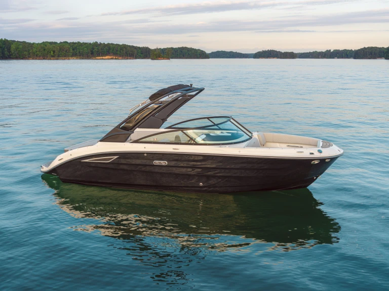 Sea Ray  250 sdx mieten Port d'Arcachon