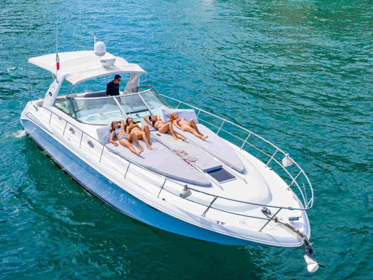 Boot mieten Cabo San Lucas günstig Sea Ray 420 Sundancer