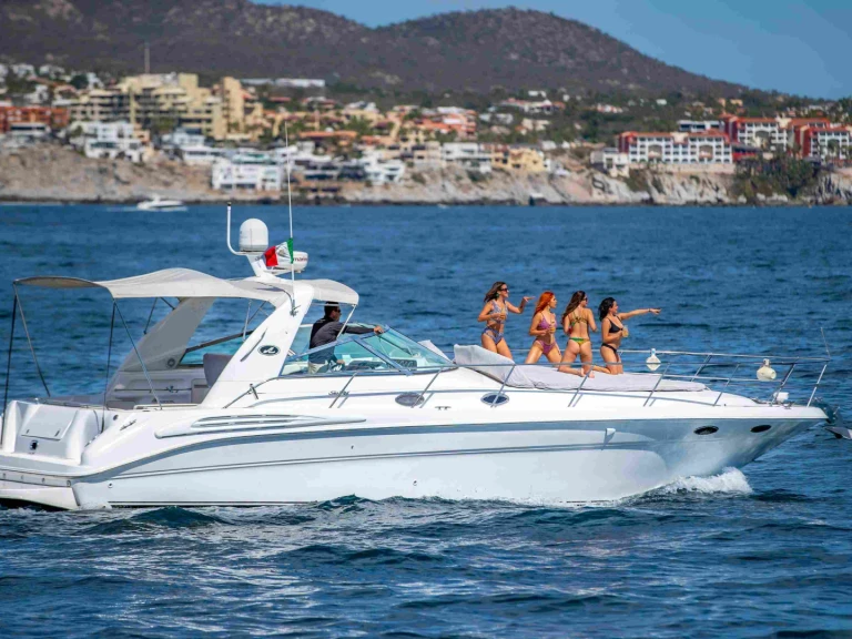 Motorboot mieten in Cabo San Lucas - Sea Ray Sea Ray 420 Sundancer