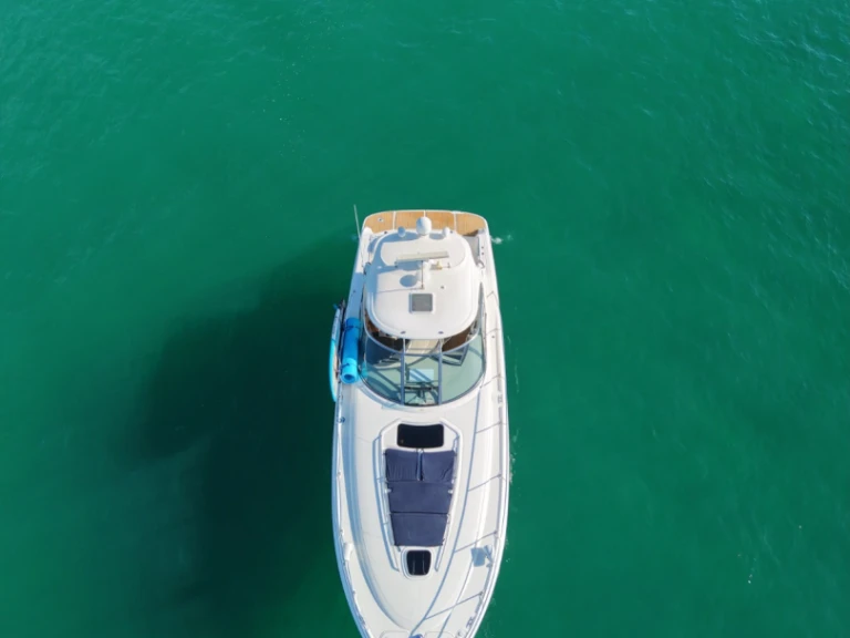 Sea Ray Sea Ray 455 Sundancer mieten Cabo San Lucas