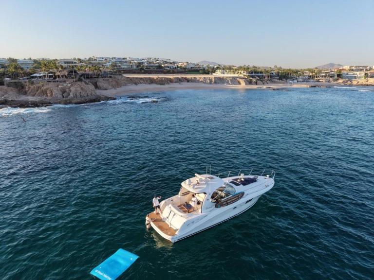 Motorboot mieten in Cabo San Lucas - Sea Ray Sea Ray 455 Sundancer