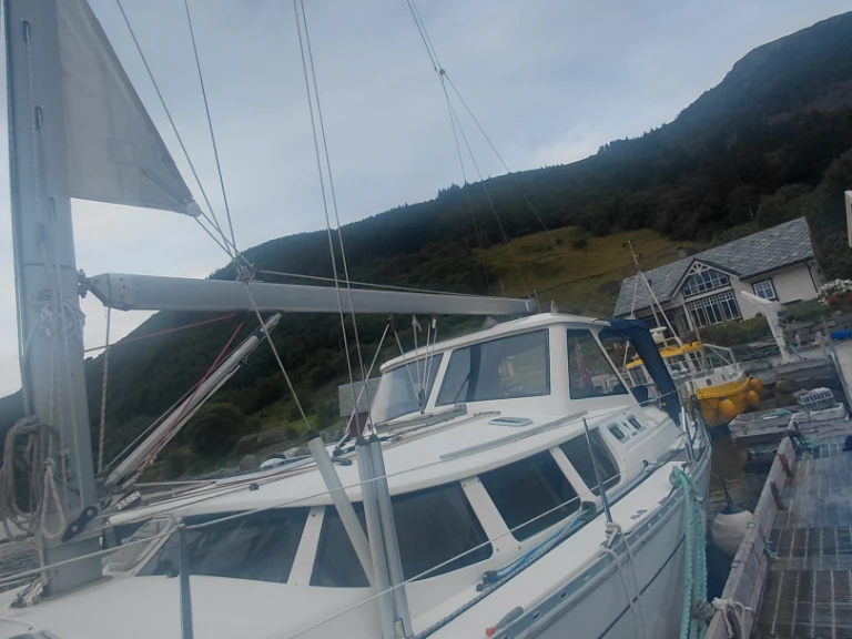 Segelboot mieten in Selje - Jeanneau Sun odyssée 43 DS