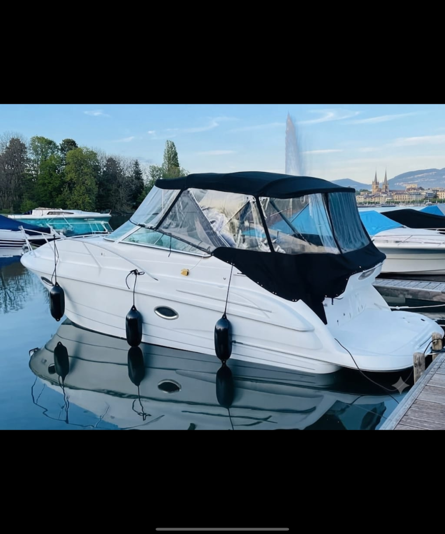 Motorboot mieten in Genf (City) zum besten Preis