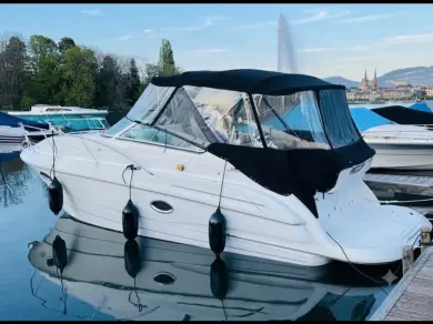 Motorboot mieten in Genf (City) zum besten Preis
