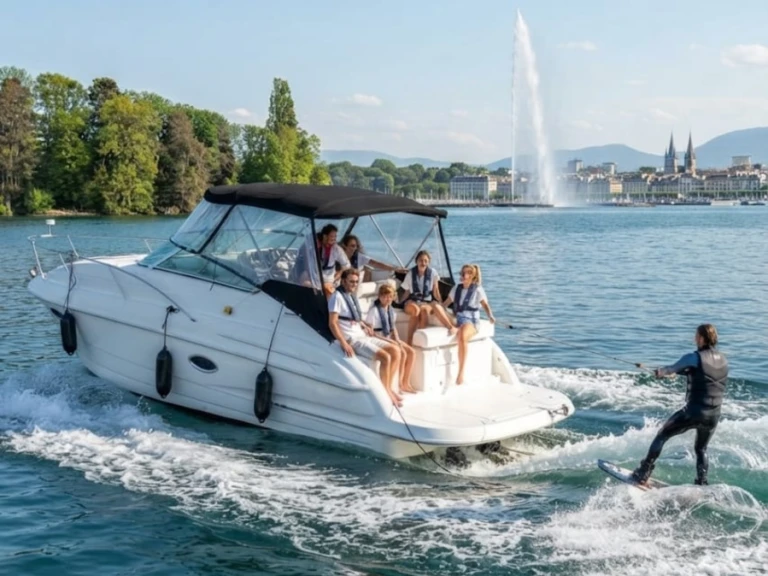 Bootsverleih Doral 250 SE Genf (City) Samboat
