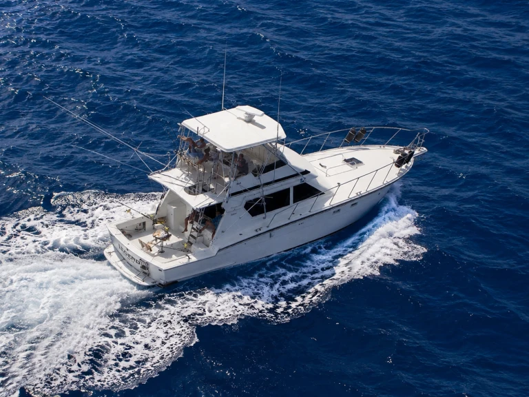 Bootsverleih Custom Made custom Puerto Rico Samboat