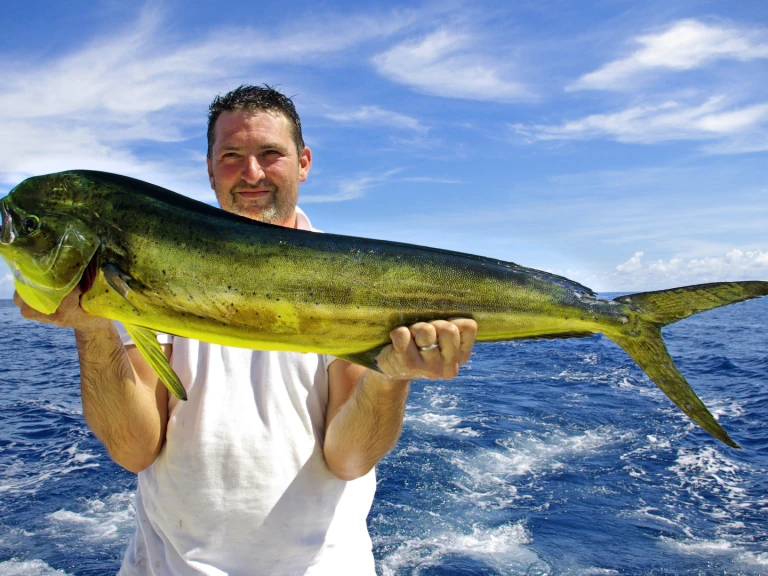 YachtCharter in Puerto Rico - Custom Made custom auf SamBoat