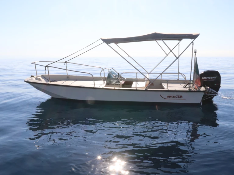 Bootsverleih Boston Whaler Boston Whaler 17 Riposto Samboat