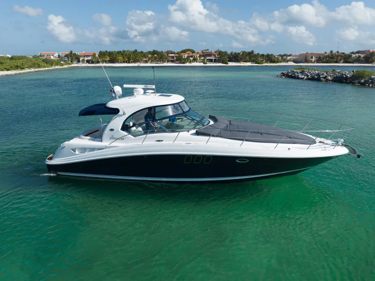 Ein Custom Made custom mieten in Puerto Aventuras