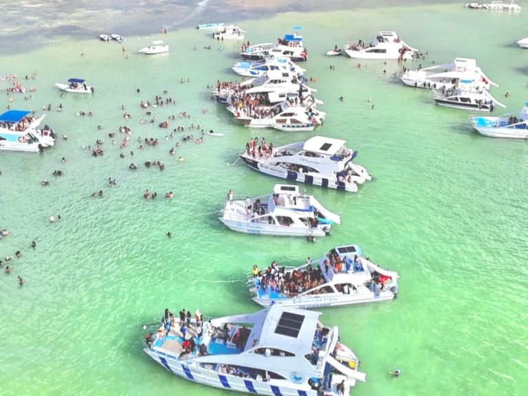 YachtCharter in Punta Cana - Ocean Yachts Ocean Star 60.1 auf SamBoat