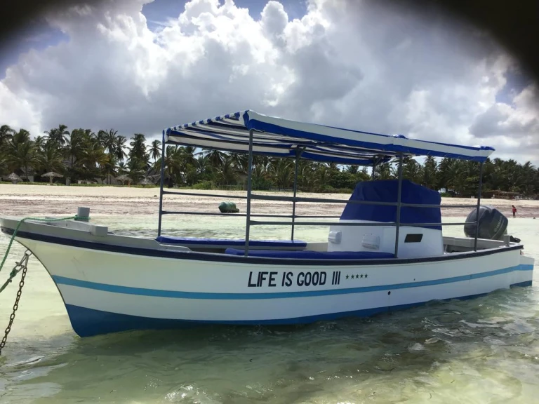 Bootsverleih Chris Craft Calypso 26 Chris Craft Calypso 26 Pwani Mchangani Samboat