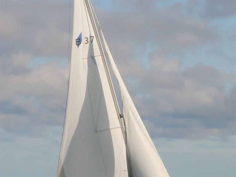 Boot mieten Heiligenhafen günstig Cruiser 37
