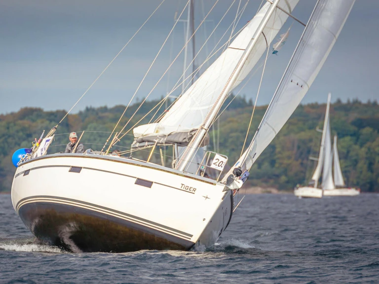 Bootsverleih Bavaria Cruiser 37 Flensburg Samboat