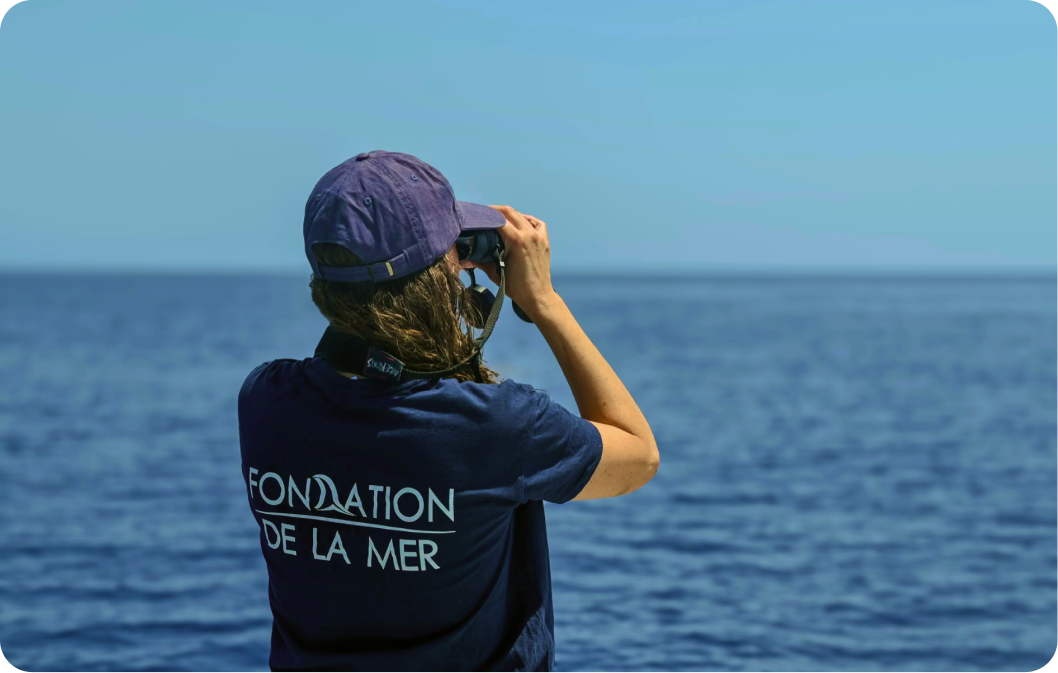 Die Fondation de la Mer